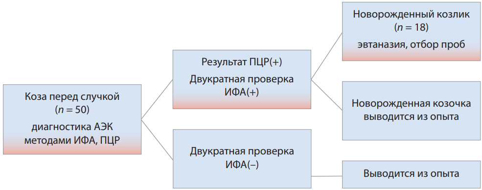 Изображение на обложке