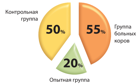 Изображение на обложке
