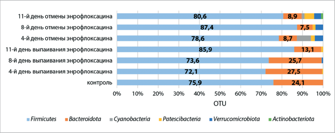 Изображение на обложке