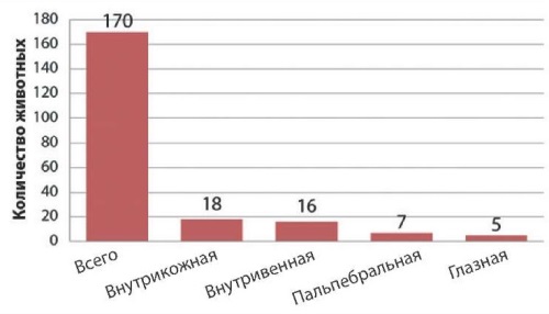 Изображение на обложке