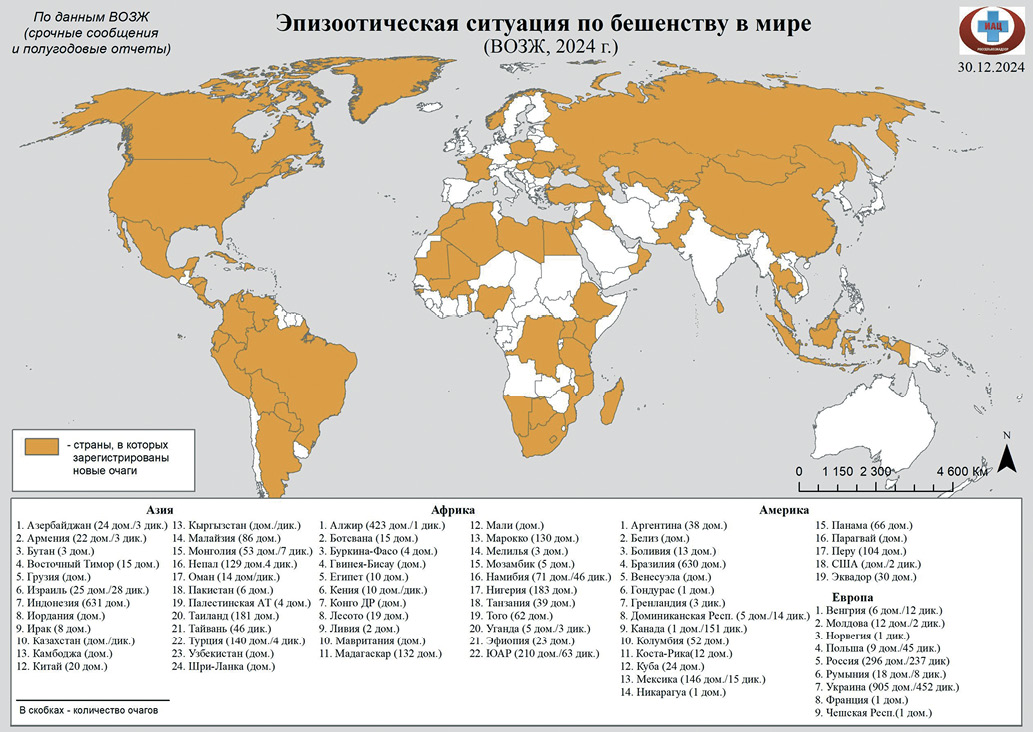 Изображение на обложке