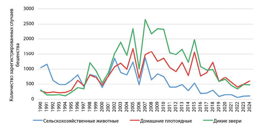 Изображение на обложке