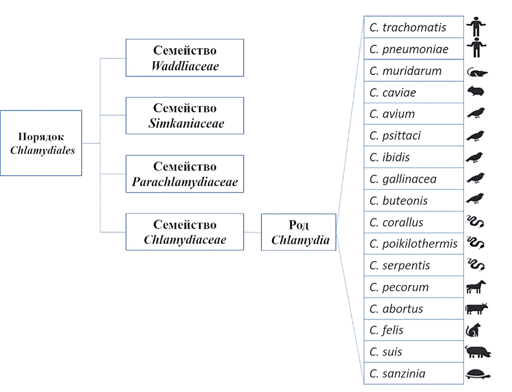 Изображение на обложке