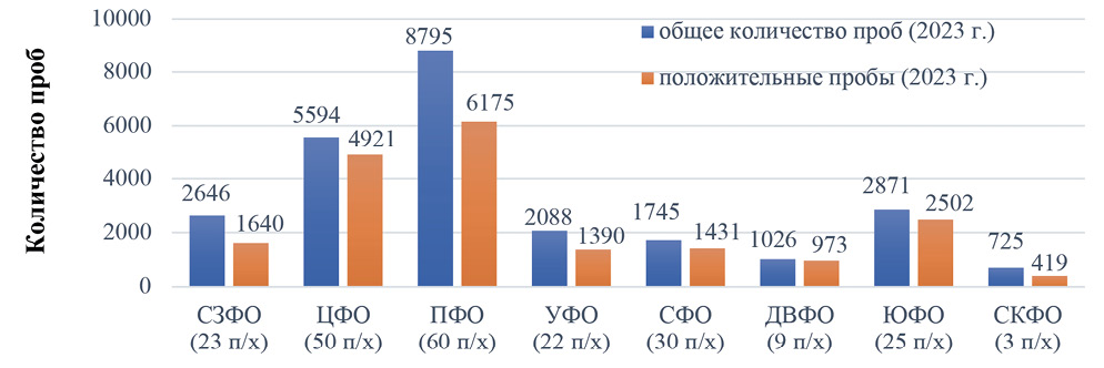 Изображение на обложке