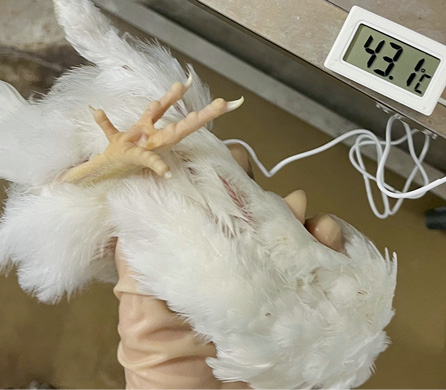 Изображение на обложке