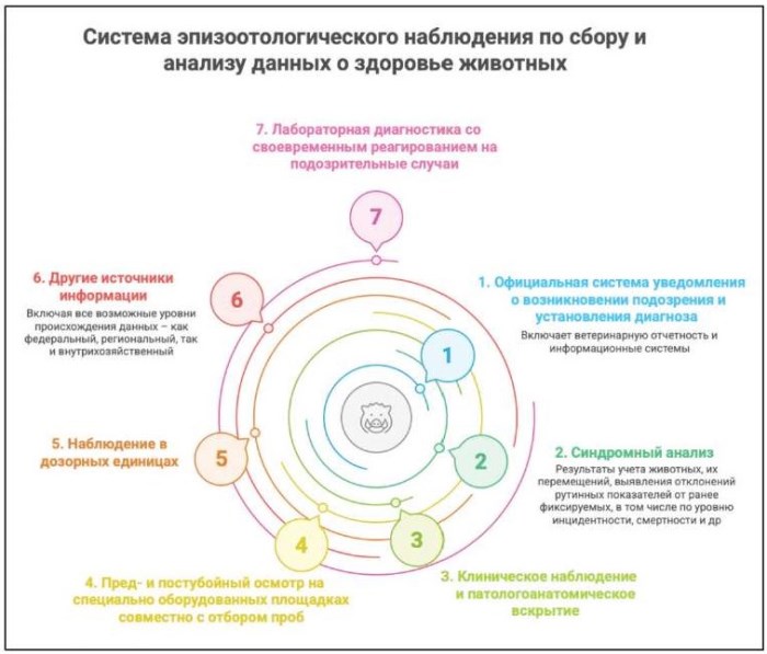 Изображение на обложке